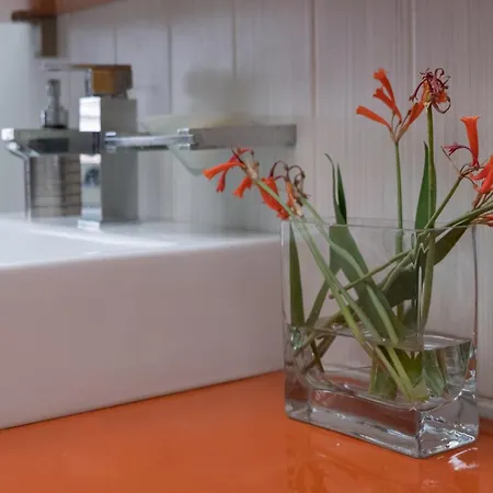 招待所 Albjona 地拉那